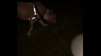 4 am going for a short walk with my pups